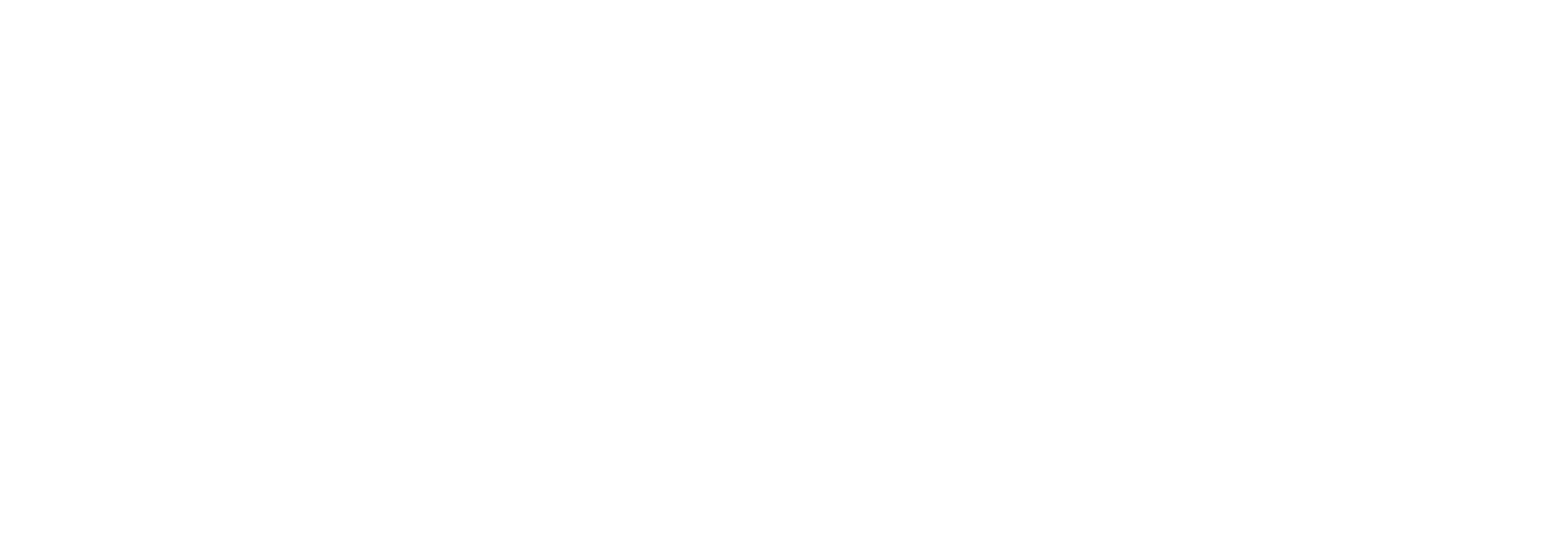 Footer Logo for Madison Academy